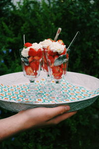 Cropped hand of person holding dessert in tray