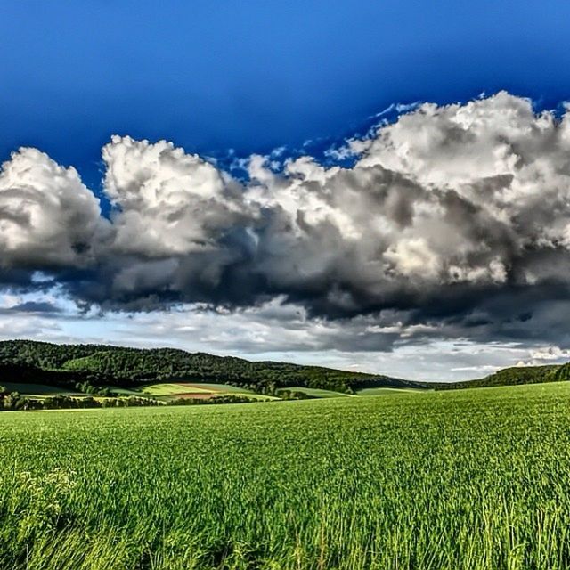 landscape, field, agriculture, tranquil scene, rural scene, sky, tranquility, beauty in nature, scenics, farm, nature, crop, growth, cloud, cloud - sky, cultivated land, horizon over land, grass, blue, green color