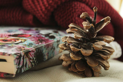 Close-up of pine cone by book on sofa