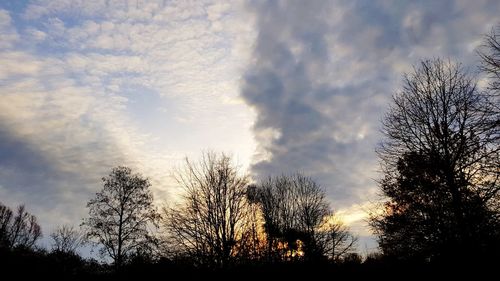 Low angle view of silhouette trees against sky during sunset