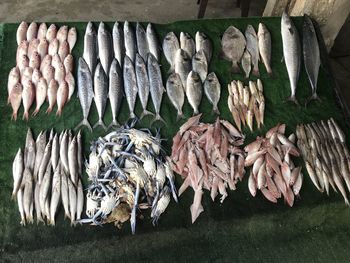 High angle view of fish for sale in market