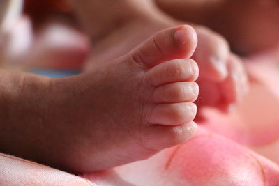 Close-up of hands holding baby hand