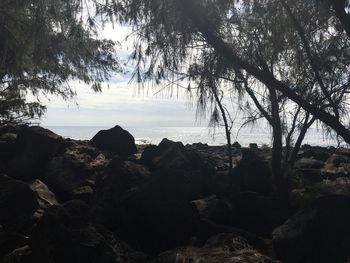 Scenic view of rock formation in sea