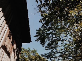 Low angle view of trees and building against sky