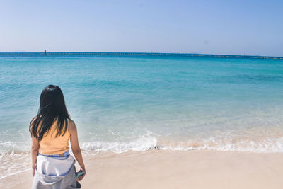 Rear view of man on beach against sky