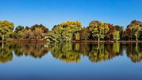 Reflection of trees in lake against blue sky