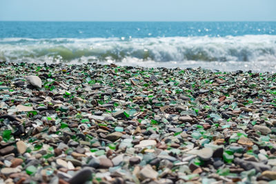 Surface level of pebble beach