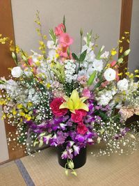 Close-up of flowers in vase