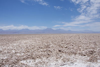 Scenic view of desert against sky