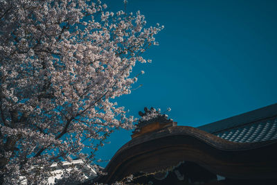 Low angle view of trees against sky