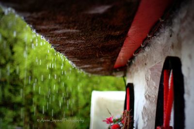 Close-up of water
