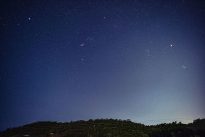 Low angle view of star field against sky at night