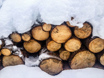 Stack of logs in snow covered log