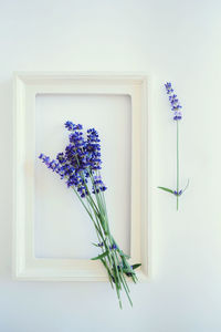 Close-up of flower vase against white wall