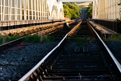 Railway tracks along plants