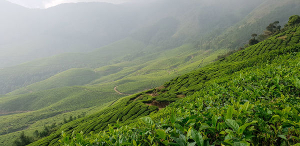 High angle view of landscape