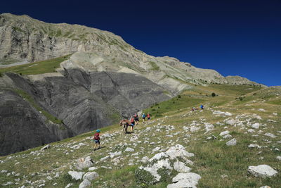 Group of hikers moving up a mountain slope accompanied by carrier donkeys 