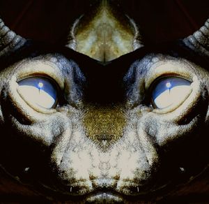 Full frame shot of painting