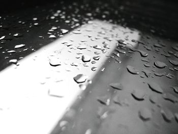 High angle view of water drops on leaf