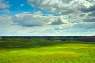 Scenic view of field against sky