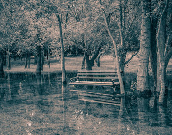 Empty bench in park by lake