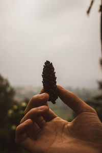 Close-up of person holding hands against sky