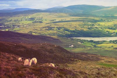 Scenic view of landscape