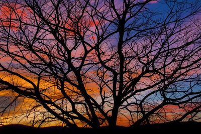 Low angle view of silhouette bare trees against sky during sunset