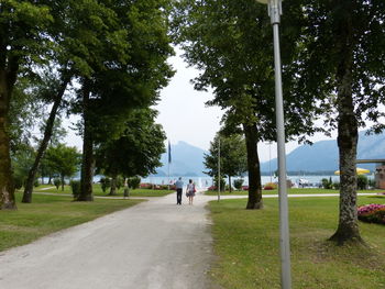 People walking on footpath in park