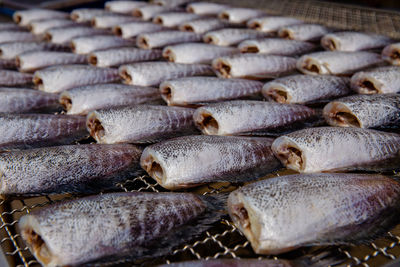 Close-up of fish for sale