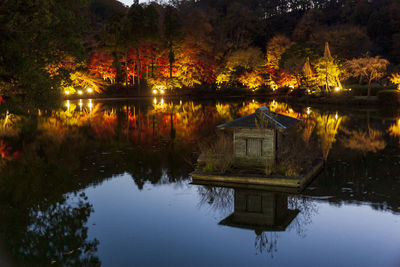 Scenic view of lake by trees and buildings at night