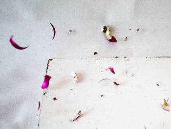 High angle view of petals on snow