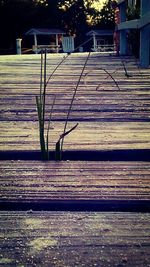 Wooden structure on wooden wall