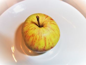 Close-up of fruits in plate