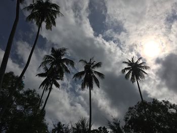 Silhouette of palm trees against sky