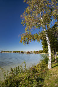 Scenic view of lake against clear blue sky