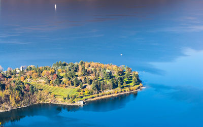 High angle view of trees by lake against blue sky