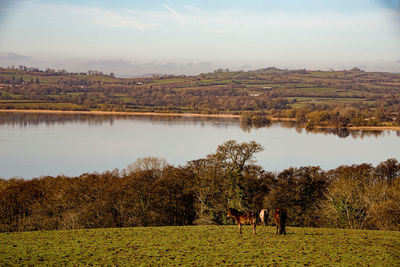 Scenic view of landscape against sky