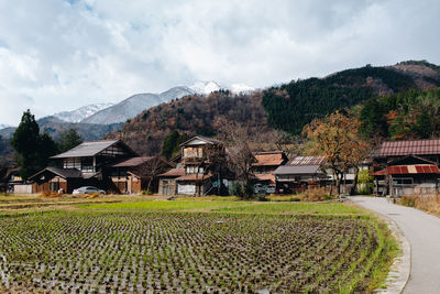 Scenic view of agricultural field by houses against sky