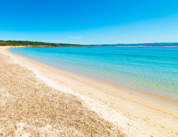 Scenic view of beach against clear blue sky