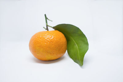 Close-up of orange fruit against white background