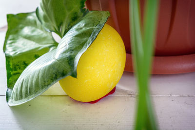 High angle view of fruit with leaf on table