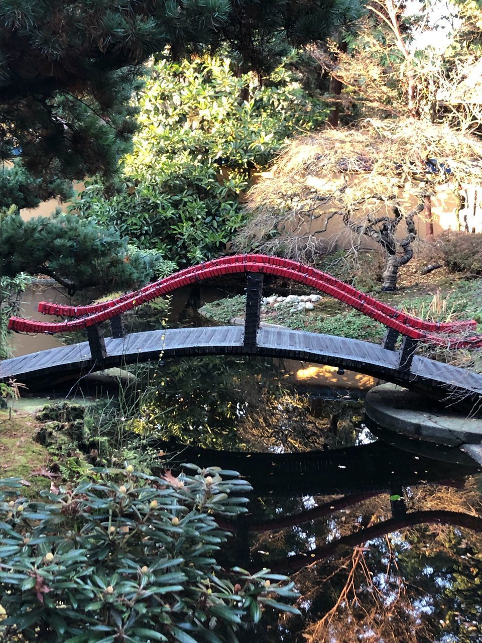 VIEW OF BRIDGE OVER RIVER IN FOREST