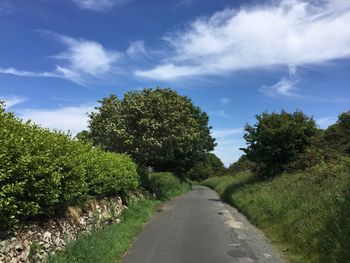 Road amidst trees against sky