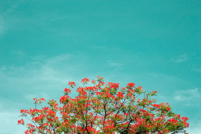 Low angle view of flowering plant against blue sky