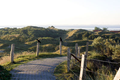 Scenic view of landscape against clear sky