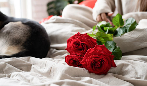  brunette woman sitting in the bed celebrating valentine day smelling red roses