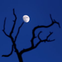 Close-up of moon against blue sky