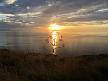 Scenic view of sea against sky during sunset