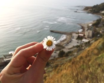 Close-up of hand holding flower over sea